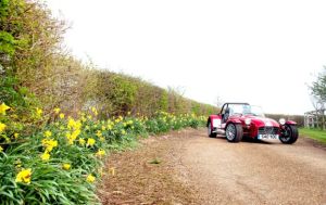 {short description of image}