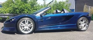 {short description of image}