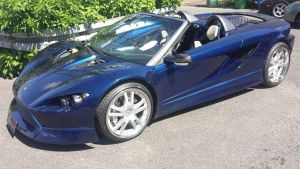 {short description of image}