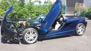 {short description of image}