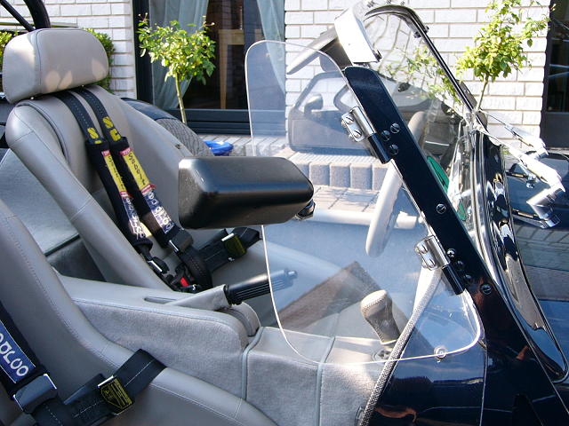 {short description of image}